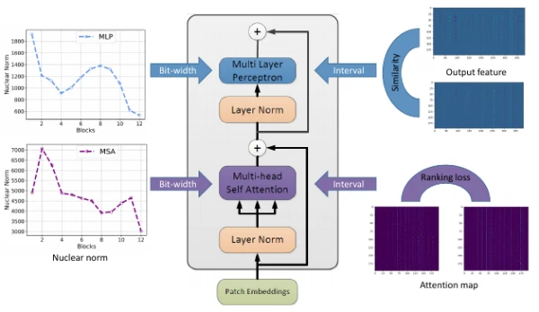 Mixed precision quantization preserves similarity and the ranking of self-attention scores.